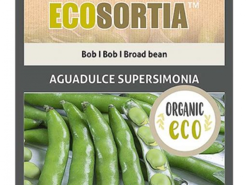 Bob-aguadulce-supersimonia  lokvina