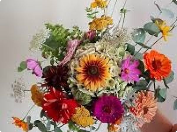 OPG Almarosa OPG Almarosa