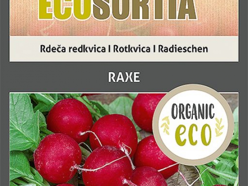 Rotkvica-raxe  glavnaslika