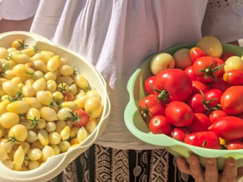 Uberi-pojedi2 Uberi-pojedi2