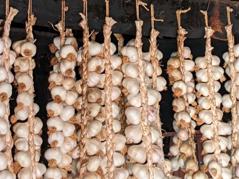 Uberi-pojedi3 Uberi-pojedi3