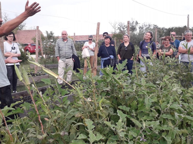 Farma Quintosapore
