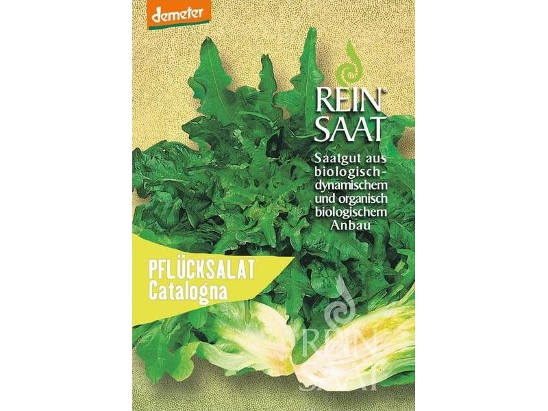 Salata-catalogna-ekosjeme Salata-catalogna-ekosjeme