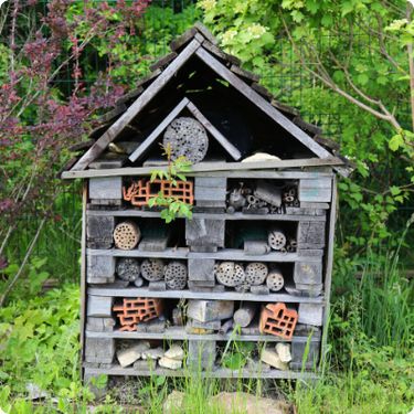 Hotel za kukce – mali dom koji čuva život u vrtu