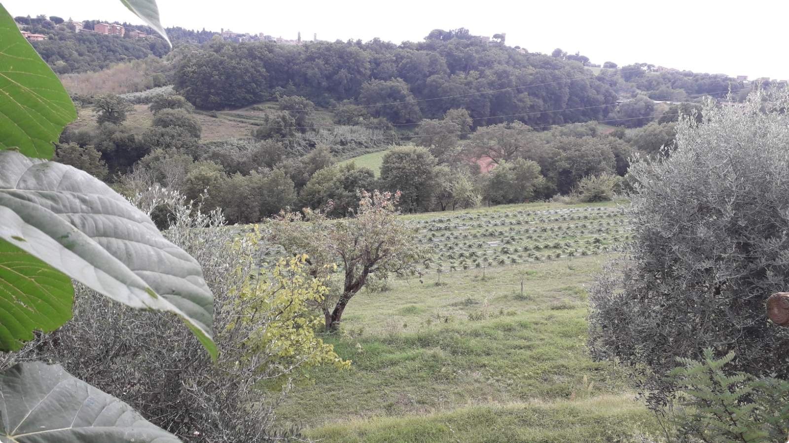 Studijsko putovanje u Italiju – priče koje mijenjaju pogled na poljoprivredu