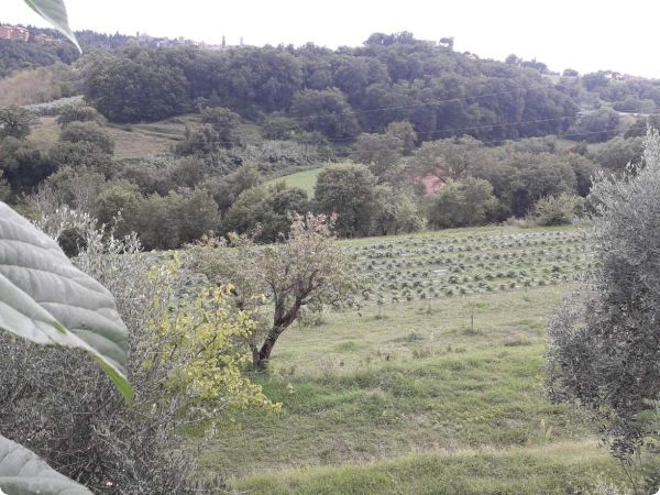 Studijsko putovanje u Italiju – priče koje mijenjaju pogled na poljoprivredu