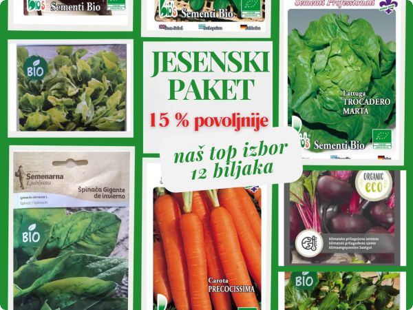 Što sijati ljeti da bi eko vrt živio na jesen i početkom zime