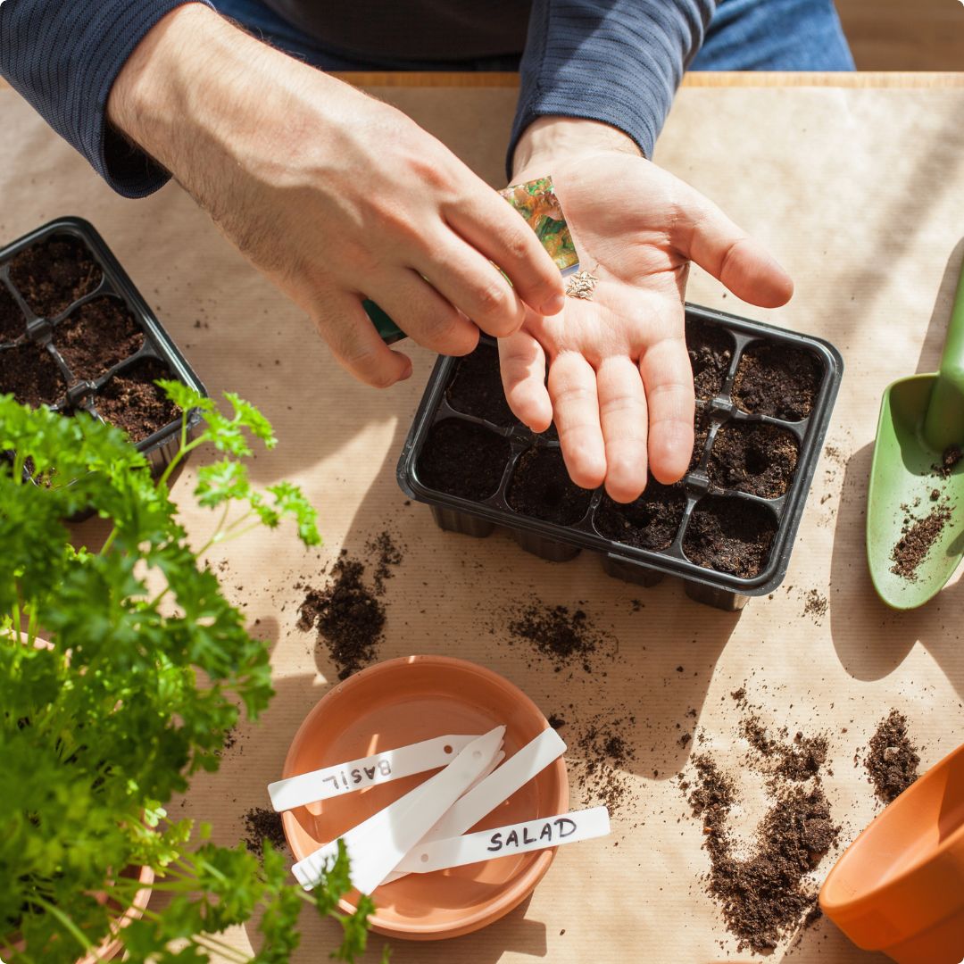 Što sve možemo sijati i saditi u travnju? Što sve možemo sijati i saditi u travnju?