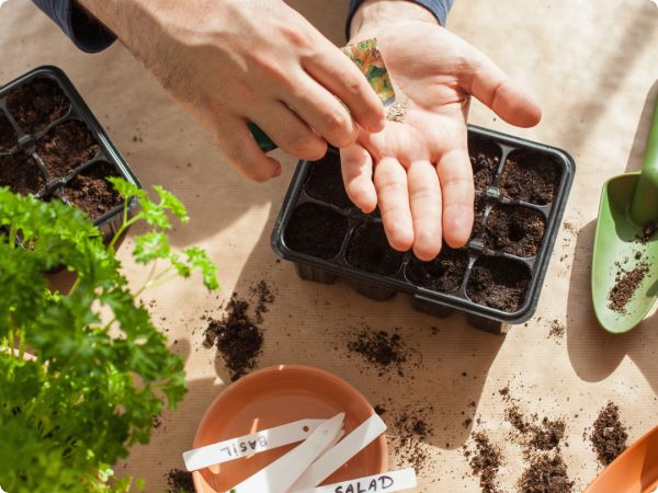 Što sve možemo sijati i saditi u travnju?