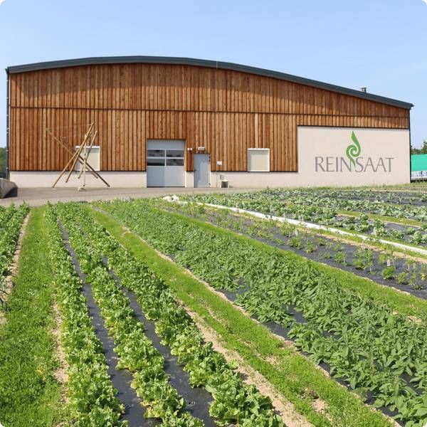 Reinsaat – lider u ekološkom sjemenarstvu
