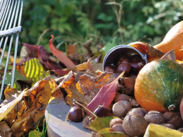 Što sada sijati – vrt u kasnu jesen Što sada sijati – vrt u kasnu jesen