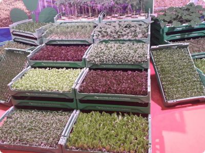 Posjetili smo poljoprivredni sajam MED’Agri  u Francuskoj