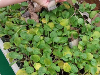 Posjetili smo poljoprivredni sajam MED’Agri  u Francuskoj