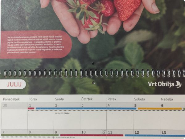 Sjetveni kalendar – vodič za rad u vrtu prema ritmovima prirode
