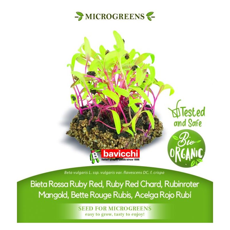 Blitva RUBY RED sjeme za microgreens