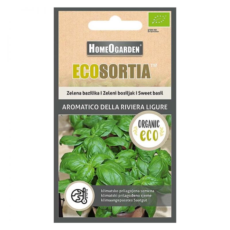 Bosiljak  AROMATICO Ocimum basilicum  Cijena, Akcija, Prodaja, Hrvatska