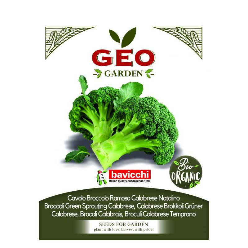 Brokula CALABRESE Cijena, Akcija, Prodaja, Hrvatska