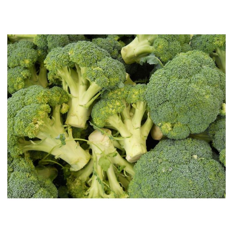 Brokula CALABRESE Cijena Akcija
