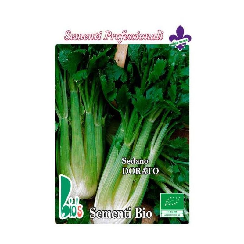 Celer za stabljiku VALDARNO Cijena, Akcija, Prodaja, Hrvatska