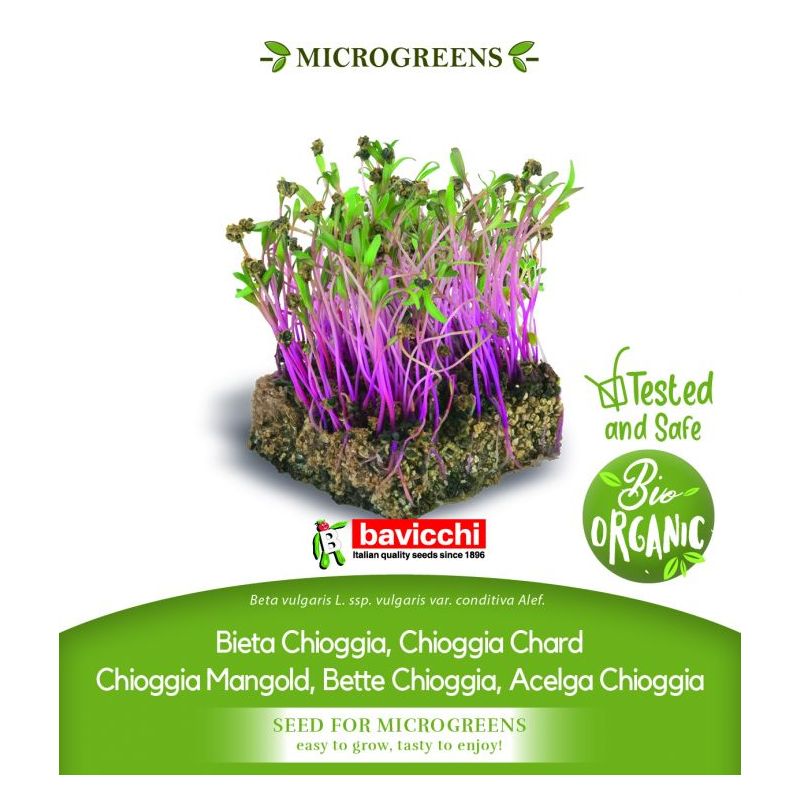 Cikla CHIOGGIA sjeme za microgreens Cijena, Akcija, Prodaja, Hrvatska