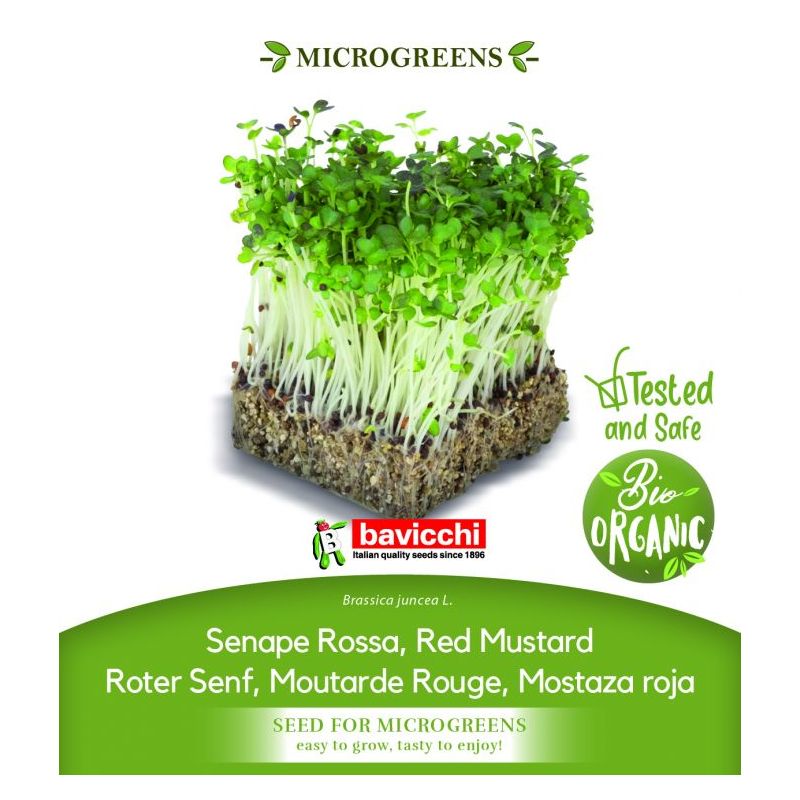 LISNATA GORUŠICA sjeme za microgreens