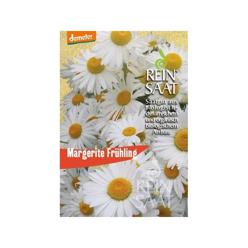 Ivančica OXEYE DAISY Chrysanthemum leucanthemum Cijena Akcija