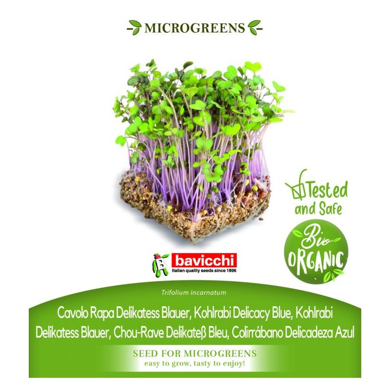 Korabica BLUE DELICACY sjeme za microgreens Cijena, Akcija, Prodaja, Hrvatska