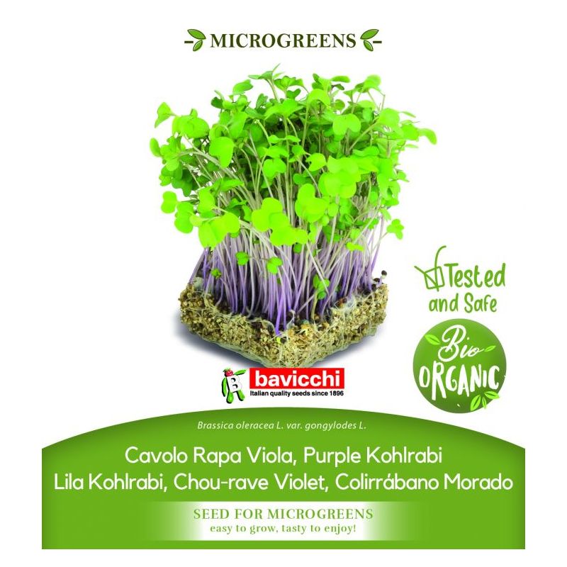 Korabica LJUBIČASTA sjeme za microgreens Cijena, Akcija, Prodaja, Hrvatska