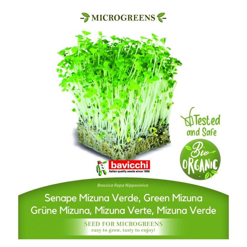 MIZUNA GREEN sjeme za microgreens Cijena, Akcija, Prodaja, Hrvatska