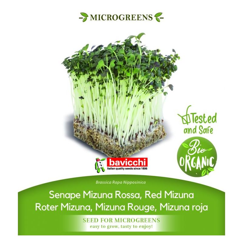 MIZUNA RED sjeme za microgreens Cijena, Akcija, Prodaja, Hrvatska