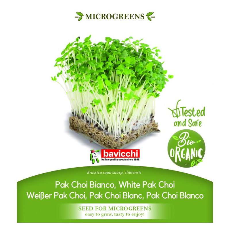 Pak Choi BIJELA STABLJIKA sjeme za microgreens Cijena, Akcija, Prodaja, Hrvatska