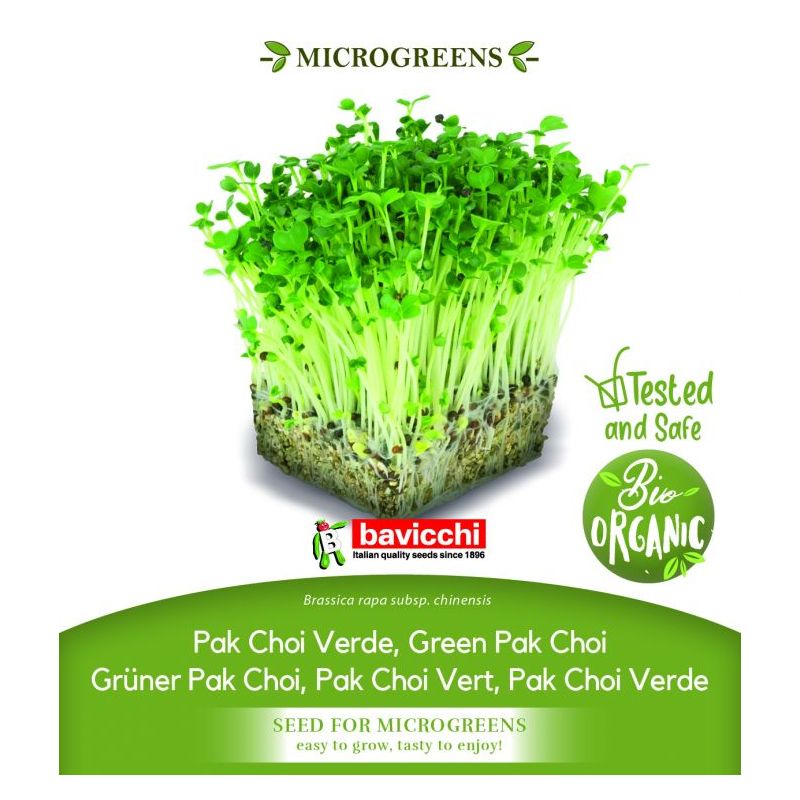 Pak Choi ZELENA STABLJIKA sjeme za microgreens Cijena, Akcija, Prodaja, Hrvatska
