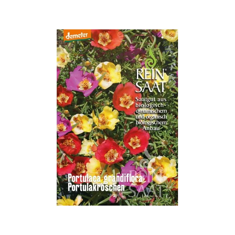 PRKOS Portulaca grandiflora Cijena, Akcija, Prodaja, Hrvatska