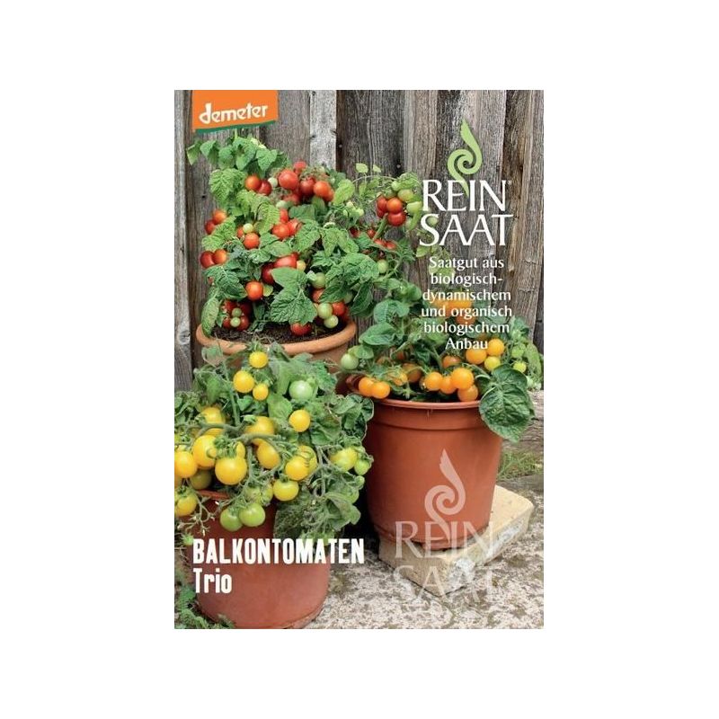 Rajčica BALKONSKI TRIO Cijena, Akcija, Prodaja, Hrvatska