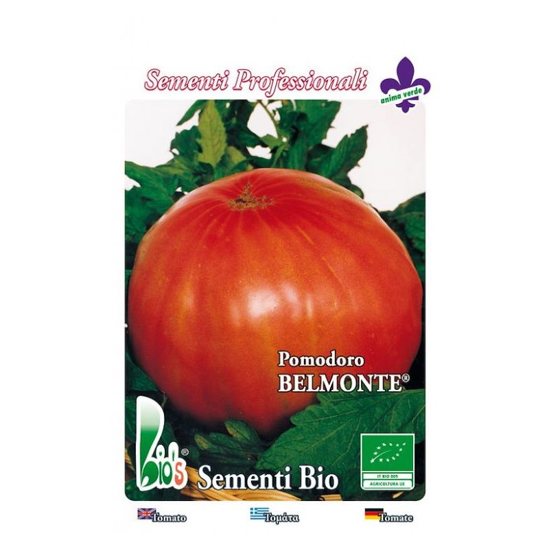 Rajčica BELMONTE - za salatu Cijena Akcija