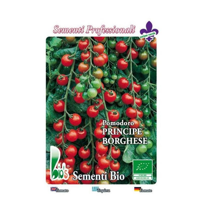 Rajčica PRINCIPE BORGHESE cherry