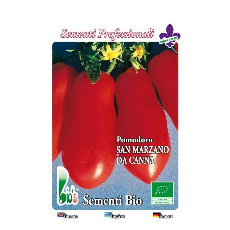 Rajčica SAN MARZANO visoka
