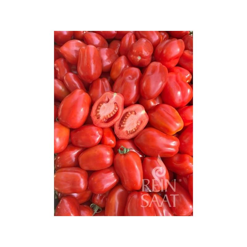 Rajčica SAN MARZANO niska Cijena, Akcija, Prodaja, Hrvatska