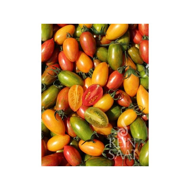 Rajčice mix ARTISAN TIGER Cijena, Akcija, Prodaja, Hrvatska