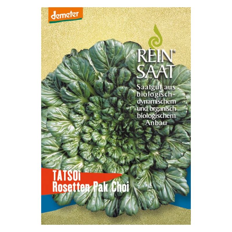 Salata azijska TATSOI