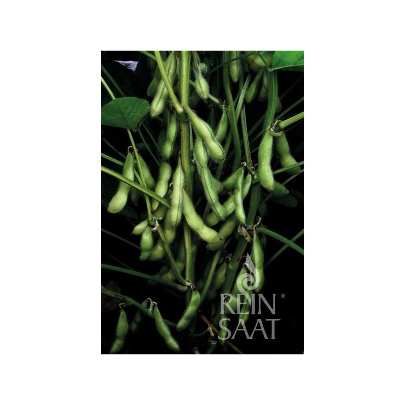 Soja EDAMAME CHIBA GREEN Cijena, Akcija, Prodaja, Hrvatska