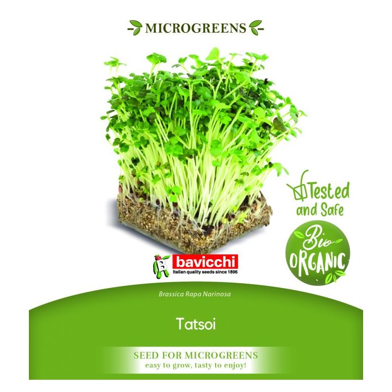 TATSOI sjeme za microgreens