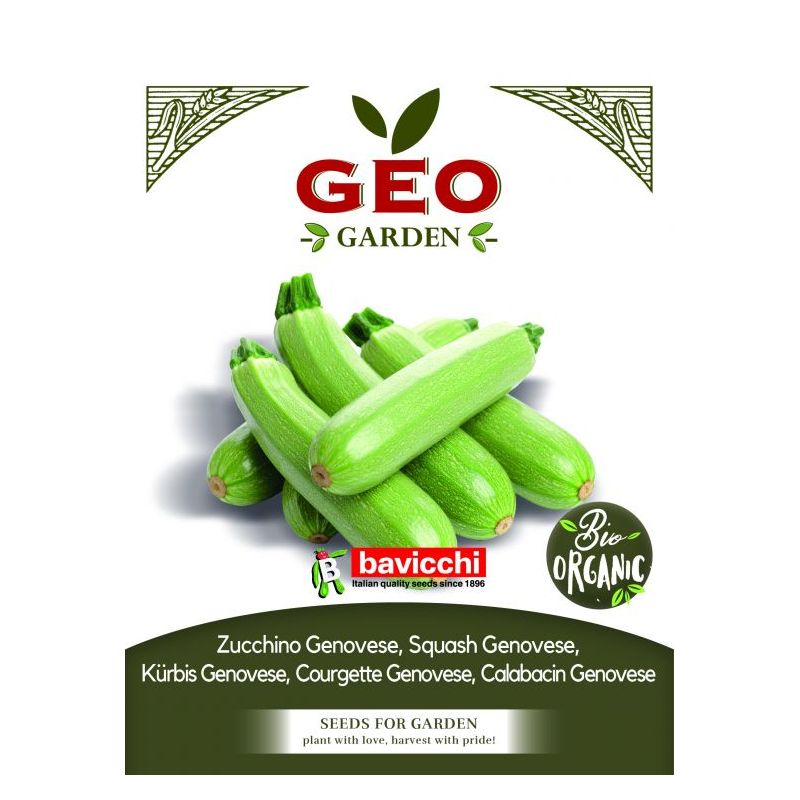 Tikvice GENOVESE