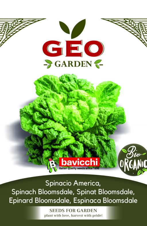 Špinat BLOOMSDALE (AMERICA) Cijena