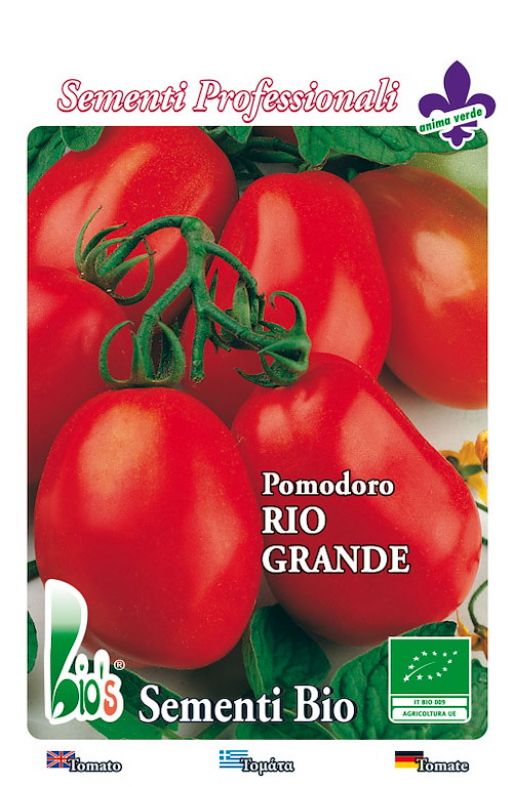 Rajčica RIO GRANDE - za šalšu Cijena