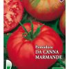 Rajčica MARMANDE - za salatu
