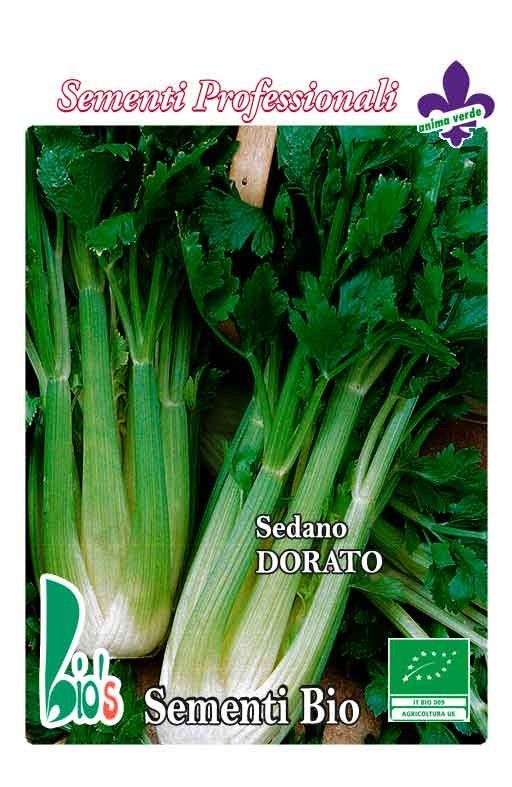 Celer za stabljiku VALDARNO Cijena
