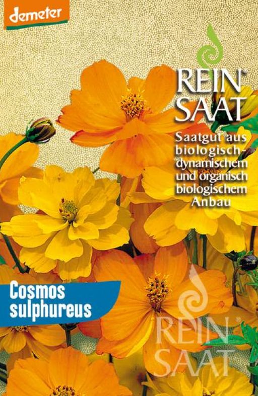 Uresnica NARANČASTA Cosmos sulphureus Cijena