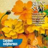 Uresnica NARANČASTA Cosmos sulphureus