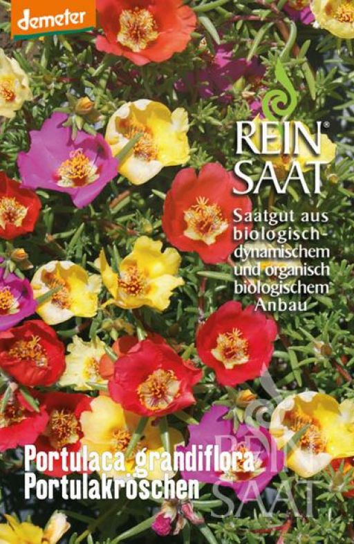 PRKOS Portulaca grandiflora Cijena